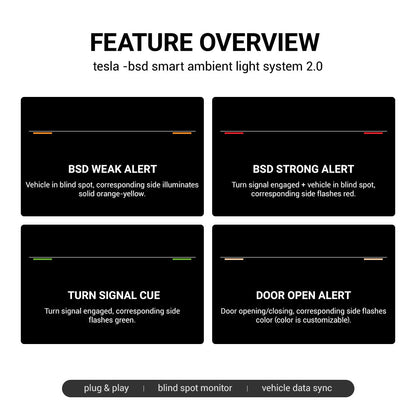 TESERY NeuroLight – Tesla Model 3/Y Dashboard RGB Lights with BSD System